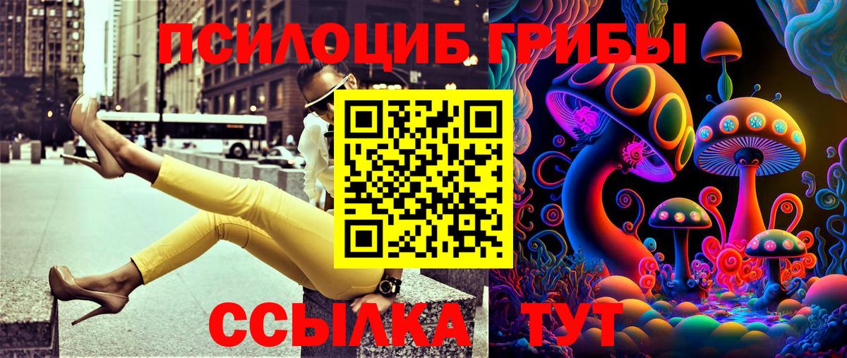 Кондопога  Галлюциногенные грибы GOLDEN TEACHER  где можно купить наркотик  Вход с VPN  Псилоцибиновые грибы Psilocybe 